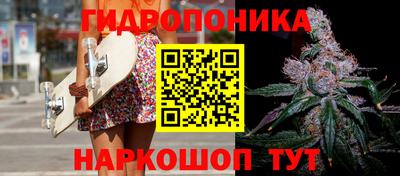 гашик Будённовск