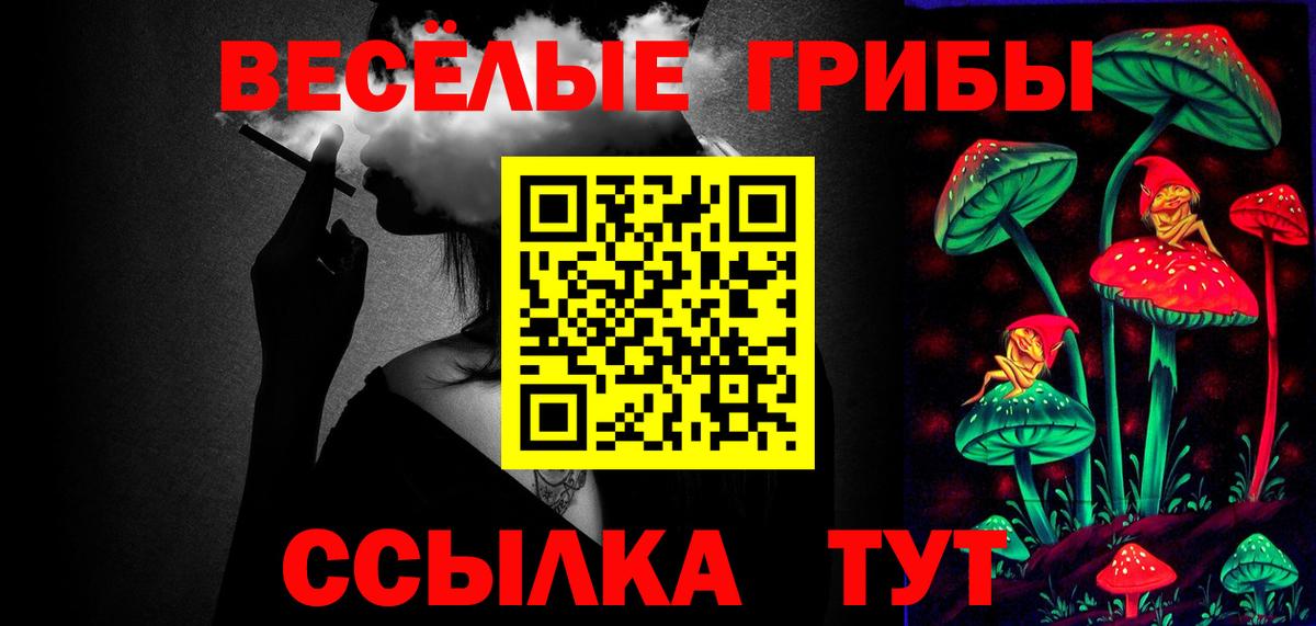 Галлюциногенные грибы мицелий Стерлитамак